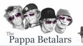 The Pappa Betalars  Finlandssvenska Bättre Folk [upl. by Madonna]