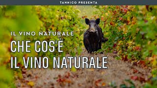 Cosa significa vino naturale  Tannico Flying School [upl. by Eillen]