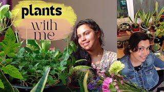 Bringing Nature indoors  Easy caring indoor plants uae plants greenery [upl. by Cary]