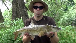 Dean Macey Fishing on the River Wye  Part 2 [upl. by Storer477]