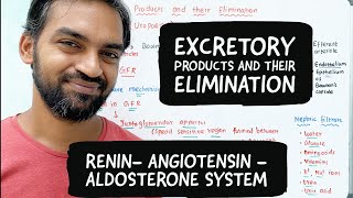 Excretory products and their elimination  Renin Angiotensin Aldosterone system [upl. by Antoinette]