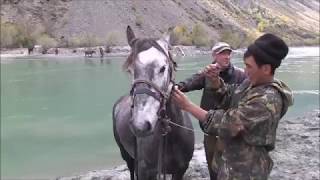 Jagen im Altai Teil 2 Auf der Fährte von Maral und Sib Steinbock [upl. by Beal]