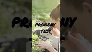 Progeny test missnatureR gpbr agriculture  educational plants plantbreeding trend youtube [upl. by Adallard]