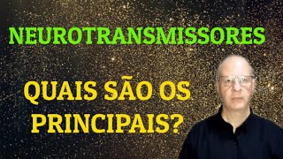 Neurotransmissores Quais são os principais [upl. by Aihsirt]