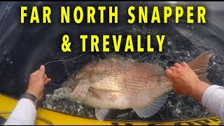 Far North NZ hunting  snapper and trevally fishing action [upl. by Redliw]