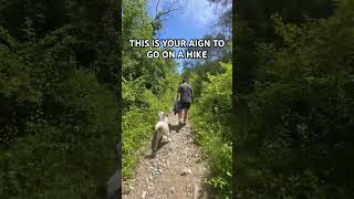 Hiking with Wolfie 🐺 huskylife huskie siberianhusky hiking [upl. by Ynogoham]