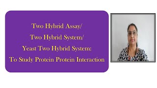 Two Hybrid System Two Hybrid AssayYeast Hybrid SystemMethod to detect protein protein interaction [upl. by Leverick770]