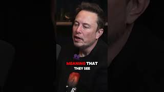 Why Elon Musk HATES Cynical People [upl. by Surbeck]