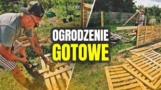 👷‍♂️ WYBIEG DLA ŚWINEK GOTOWY 👷‍♂️ Marysia i Pola dołączyły do stada  MOJE MINI ZOO  odc 452 [upl. by Florio]