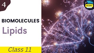 Lipids  Biomolecules Class 11 Biology Chapter 9 ncertdecodebiology neetbiology biomolecules [upl. by Stagg]