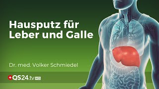 Hausputz für Leber und Galle  Dr med Volker Schmiedel  Naturmedizin  QS24 Gesundheitsfernsehen [upl. by Talley]