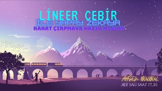 Lineer Cebir  Vektör Uzayları [upl. by Marrilee494]