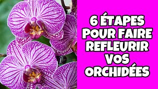 🍎❤️COMMENT FAIRE REFLEURIR LES ORCHIDÉES [upl. by Lehet]