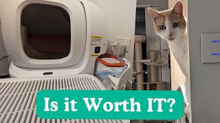 1 Year with Automatic Cat Litter Box  Petkits Robot Pura Max Reviewed [upl. by Htevi]