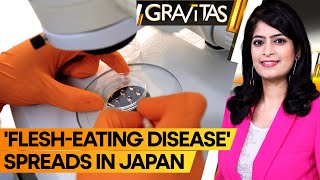 Gravitas Flesheating disease spreading at record rate in Japan [upl. by Ylrehc567]