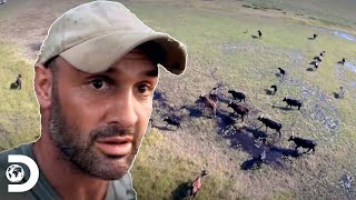 ¡Las veces en las que Ed Stafford se enfrentó a peligrosos animales  Sin Fronteras con Ed Stafford [upl. by Laehplar]