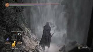 111 Builds Necromancer vs Gael Dark Souls III Cinders Mod [upl. by Annoif]