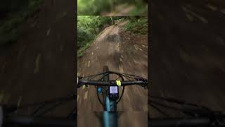 Making the most of the mtb dirt jump trail [upl. by Banyaz]