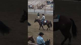 2024 ND 5050 Futurity placings [upl. by Linders923]