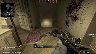 Csgo german rage [upl. by Brawner]