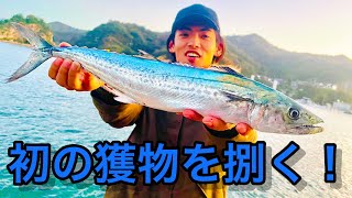 初めての三枚卸し！グダグダ料理回をお届け！【鳥取県】 [upl. by Santiago]