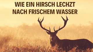 Wie ein Hirsch cover Ein Lied über Psalm 42  Pater Manuel [upl. by Esiled941]