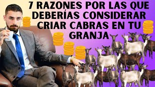 Las ventajas de criar cabras en tu granja reveladas [upl. by Thorner]