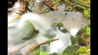 MÄRCHEN ZUM GENIEẞEN  Die roten und die schwarzen Steine [upl. by Tonnie]