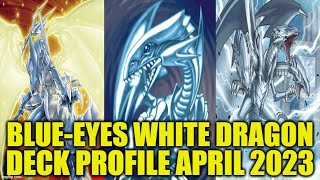 BLUEEYES WHITE DRAGON DECK PROFILE APRIL 2023 YUGIOH [upl. by Phillida]