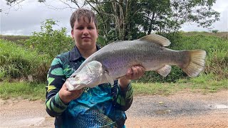 Insane barramundi fishing cairns [upl. by Atinev897]