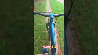 Pov of Flowter at Okeford hill bike park [upl. by Estrellita]