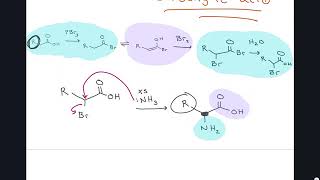 Understanding the Significance and Mechanism of the HellVolhardZelinsky Reaction [upl. by Dnalyag]