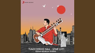 Tumhi Dekho Naa Sitar Lofi [upl. by Aridni767]