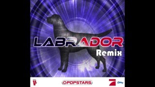 Popstars 2010  Girls Forever   Final Blue Labrador Remix [upl. by Ataliah913]