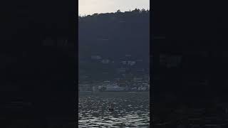 leaving Sausalito by ferry [upl. by Pasadis]