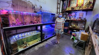 Marine Fish Shop Chatuchak Fish Market [upl. by Marnia]