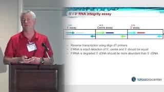 IntelliQube qPCR Validation using MIQE Guidelines [upl. by Ahseem]