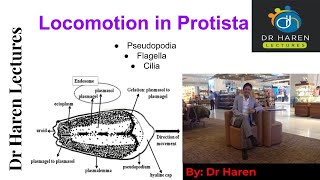 Locomotion in Protista [upl. by Velasco]