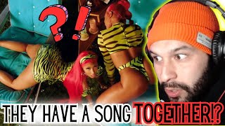 MEGAN AND NICKI HAVE A COLLAB 😱 quotHot Girl Summerquot Megan Thee Stallion x Nicki Minaj Reaction [upl. by Egide]