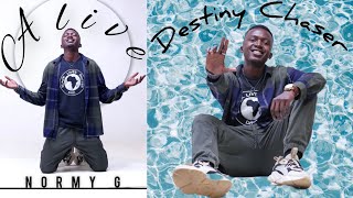 Normy GDestiny Chaser official audio [upl. by Yffat]