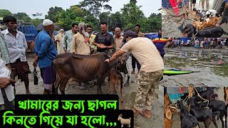 খামারের জন্য ছাগল কিনতে গিয়ে যা হলো🐐 [upl. by Llorrad487]