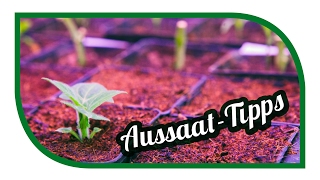 Aussaat amp Gartentipps im Februar 🌱 Jungpflanzenanzucht im Februar 🌱 Selbstversorgung [upl. by Arekahs]