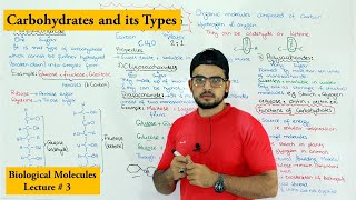 Carbohydrates  A type of biological molecule  Functions and Classification [upl. by Nickelsen]