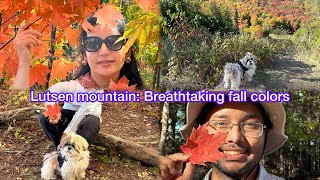 Murphy ko mili ek cute si fan II Breathtaking fall colors II Lutsen mountains [upl. by Berkman]