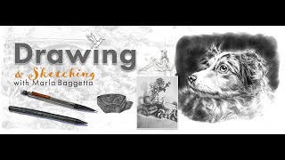 Introducing Drawing and Sketching  An Online Course with Marla Baggetta [upl. by Tanah899]