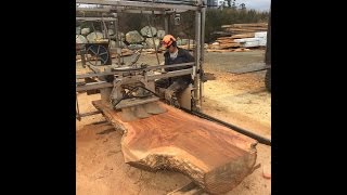 Chainsaw Milling 4 wide Elm Slabs [upl. by Leamhsi]