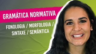 GRAMÁTICA NORMATIVA Fonologia Morfologia Sintaxe Semântica Aprenda a diferenciar [upl. by Manya754]