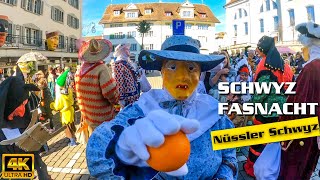 Fasnacht 2020  Schwyzer Nüssler  Narrentanz Schwyz  Nüssler schwyz  4K [upl. by Maxi345]