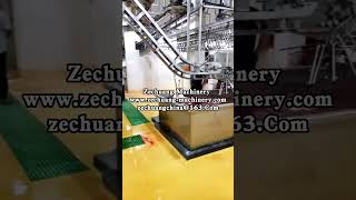 Automatic Mechanize Two Shift Swine Abattoir Pneumatic Lifting Machine Whatsapp 86 18652967546 [upl. by Lakin]