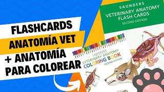 Libro Gratis de Flashcards de Anatomía Veterinaria  Libro de Anatomía Veterinaria para colorear📚🩺🦮 [upl. by Arateehc]